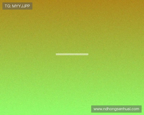 英格兰足总杯历程与荣耀：英超球队如何征战足坛最古老赛事